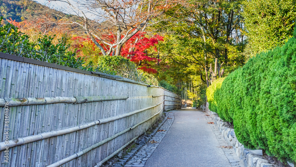 The Path to Chikurin-no-Michi (Bamboo Grove) at Arashiyama in Ky The Path to Chikurin-no-Michi (Bamboo Grove) at Arashiyama in Ky