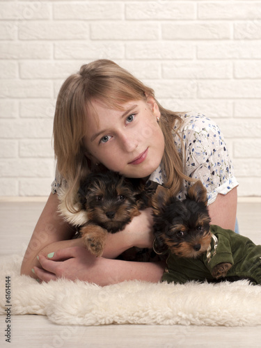 Beautiful young happy girl with puppies of Yorkshire terrier