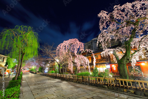 Fotografia Gion in Kyoto with sakura tree at night