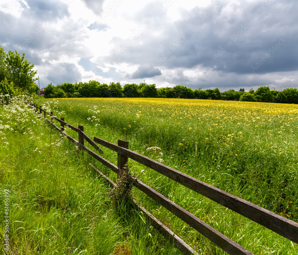 Fototapeta premium Springtime