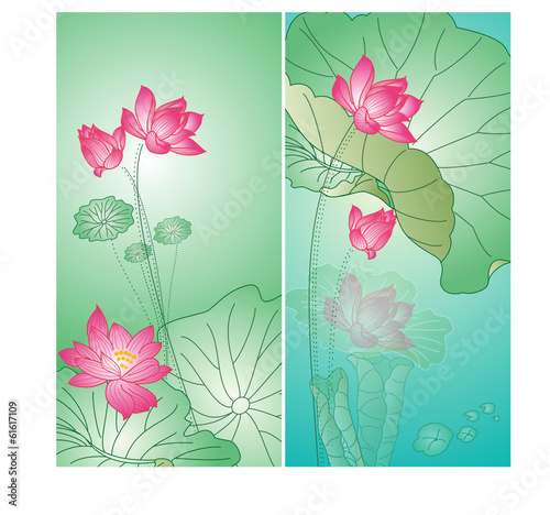 lotus flower