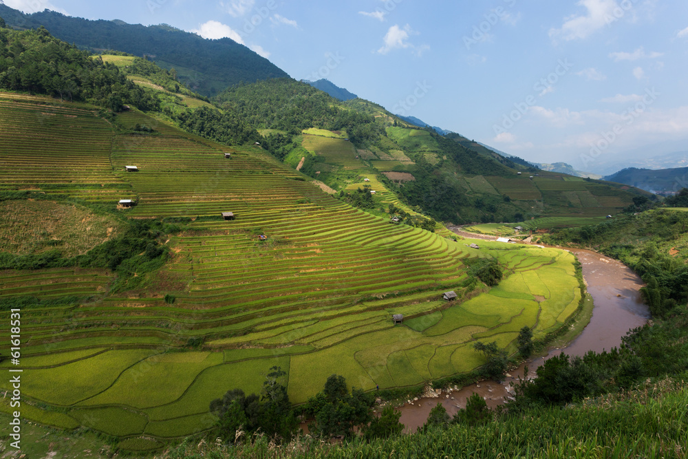 Rice field at Mu Cang Chai, Yenbai province, Vietnam