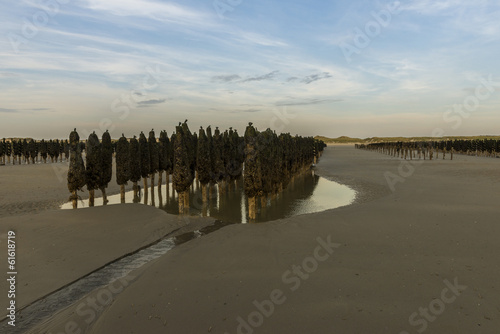 Les bouchots utilisés par les mytilliculteurs à Quend-Plage po photo