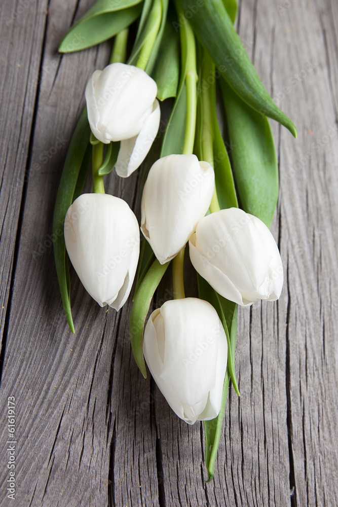 White tulips White tulips