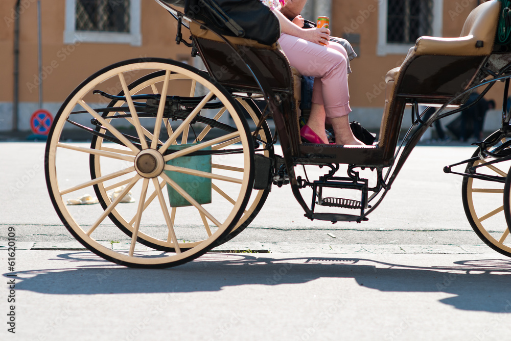 Obraz premium Carrozza tirata da cavallo, Pisa