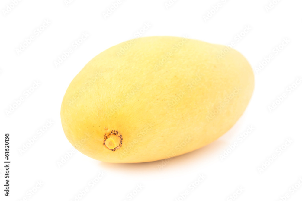 Yellow mango isolated on a white background