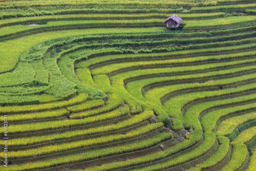 Rice field at Mu Cang Chai, Yenbai province, Vietnam Rice field at Mu Cang Chai, Yenbai province, Vietnam