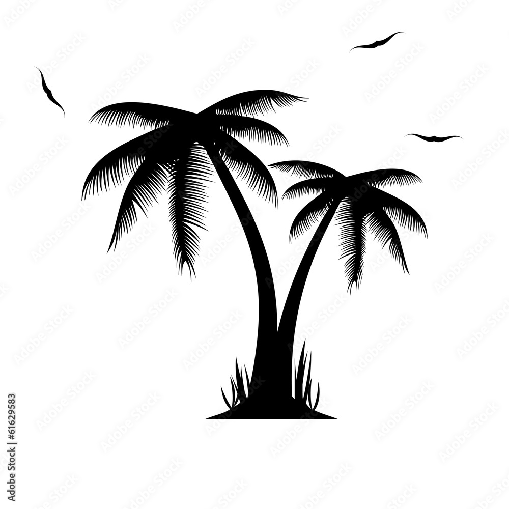 Vector illustration of palm trees .