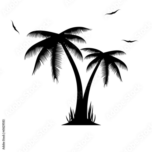Vector illustration of palm trees .