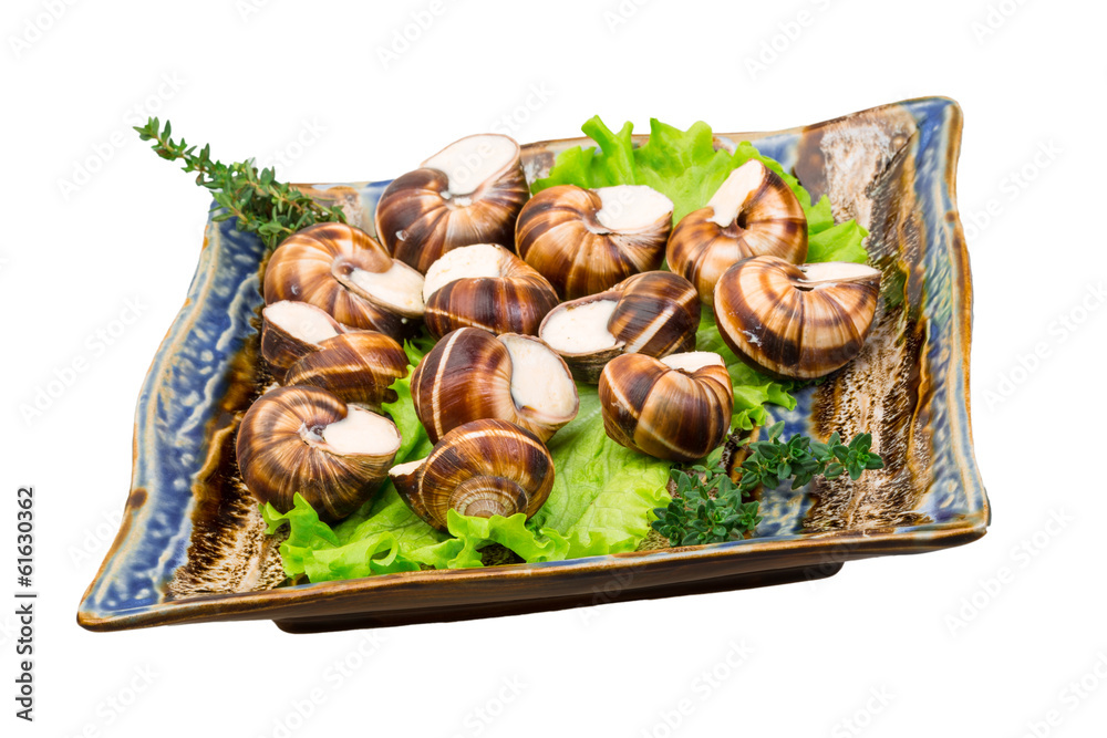 Escargot Escargot