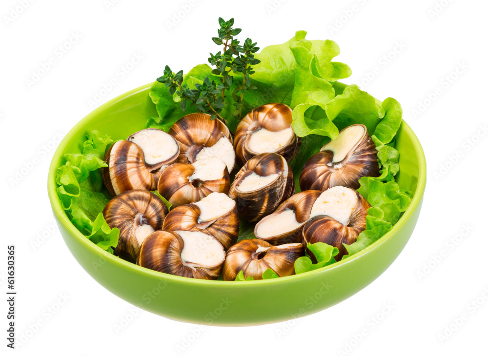 Escargot Escargot