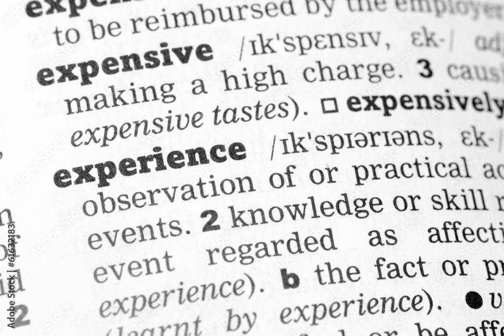 Experience Dictionary Definition Experience Dictionary Definition