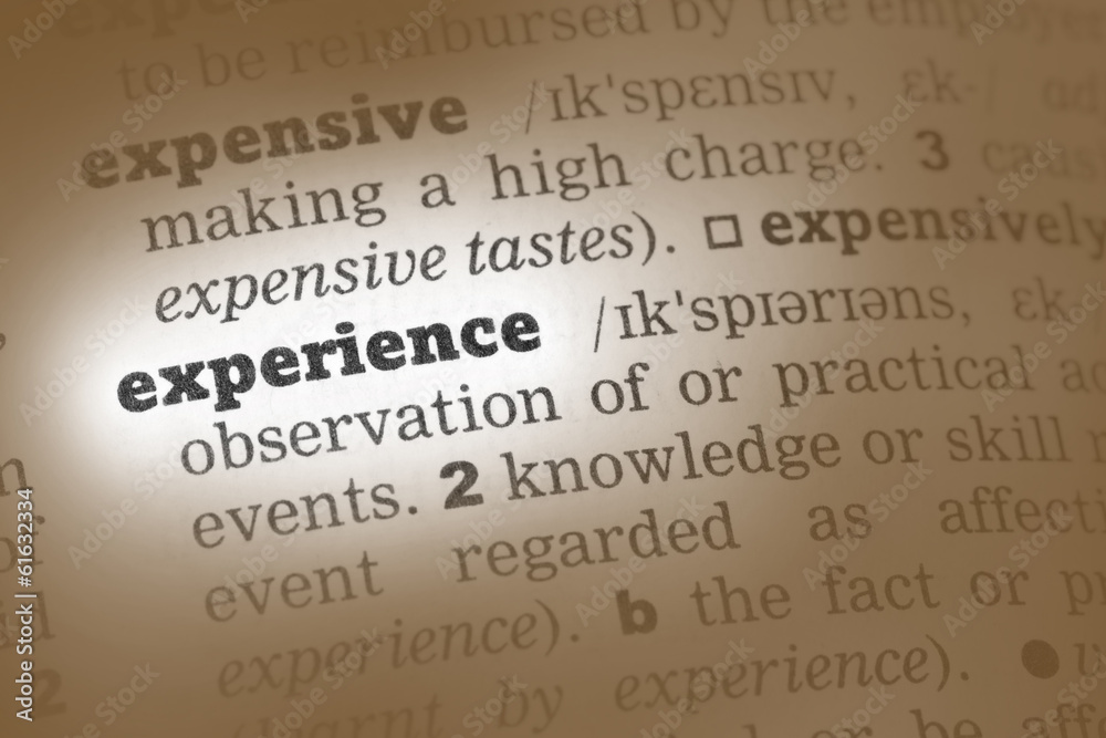 Experience Dictionary Definition Experience Dictionary Definition