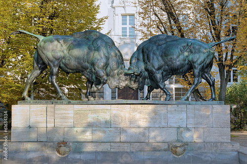 Sculpture of Fighting bisons in Kaliningrad, Russia photo