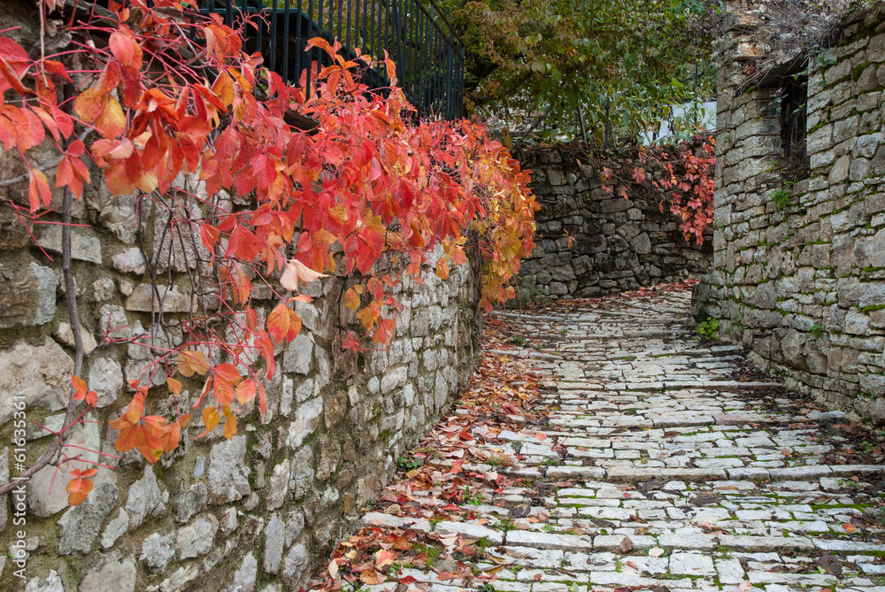 Road with red leaves in a traditional village in Epirus, Greece - obrazy, fototapety, plakaty 