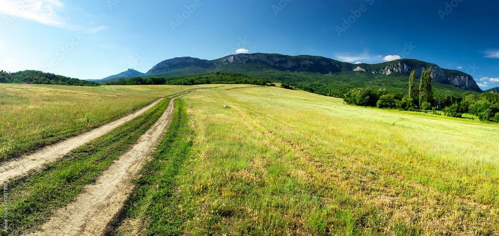 Road on field. Beautiful natural landscape