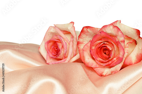 Pink satin and roses