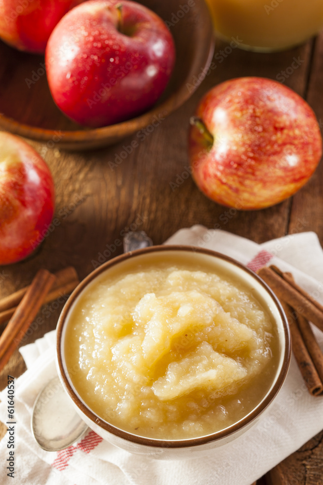 Healthy Organic Applesauce with Cinnamon Healthy Organic Applesauce with Cinnamon