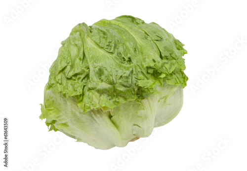 Green iceberg lettuce