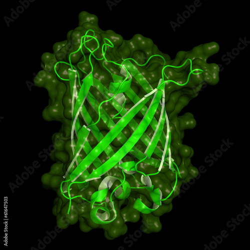Canvas Print Green fluorescent protein structure