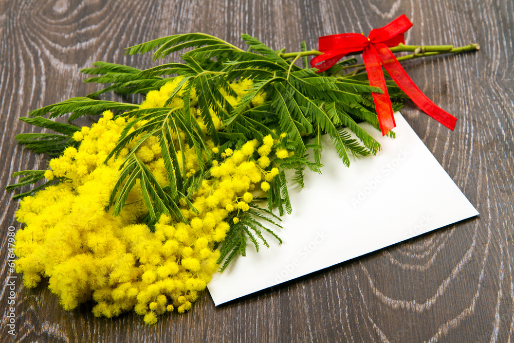 Foto Stock mimosa , festa della donna | Adobe Stock