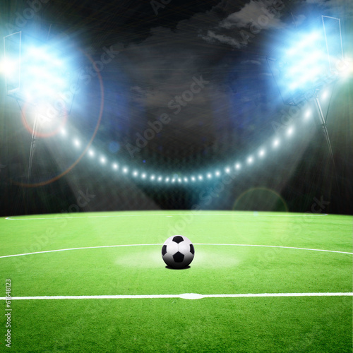 soccer stadium with the bright lights © Dmitry Perov