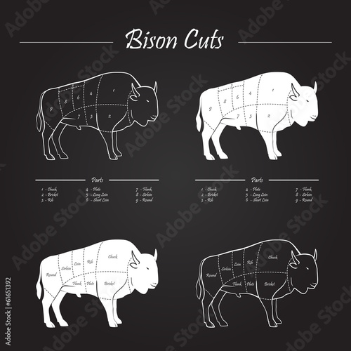 BISON MEAT CUTS SCHEME - elements on blackboard
