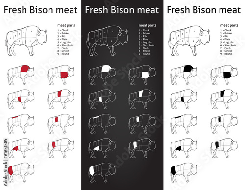 FRESH BISON meat parts Icons for packaging and info-graphic 1