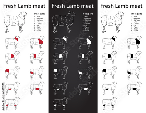 FRESH LAMB meat parts Icons for packaging and info-graphic 1