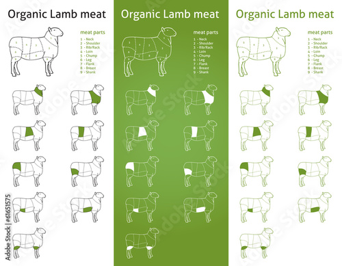 ORGANIC LAMB meat parts Icons for packaging and info-graphic 2