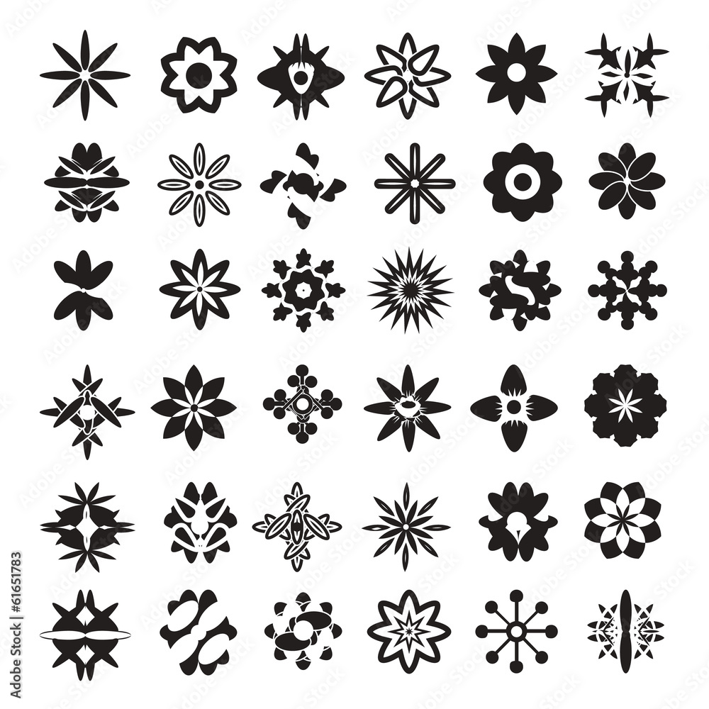 flower in black white flower in black white