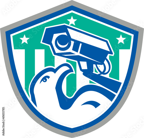 Eagle Security CCTV Camera Retro Shield