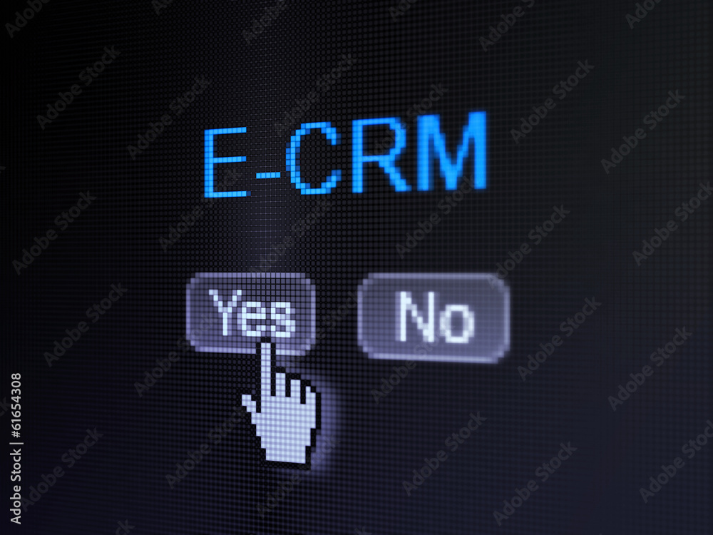 Finance concept: E-CRM on digital computer screen