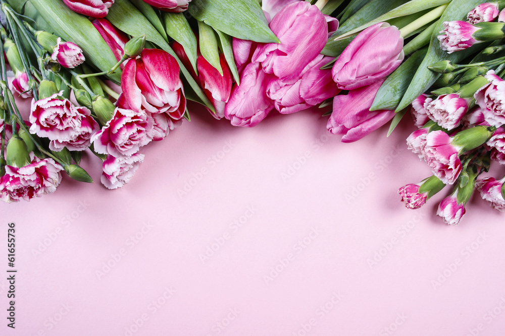 Beautiful tulips and carnations on pink background