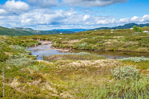 View over Norway landscape © fuchsphotography