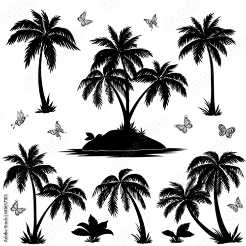 Tropical island  palms and butterflies silhouettes