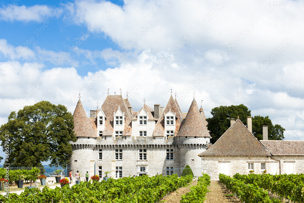 Obraz premium Monbazillac Castle with vineyard, Aquitaine, France