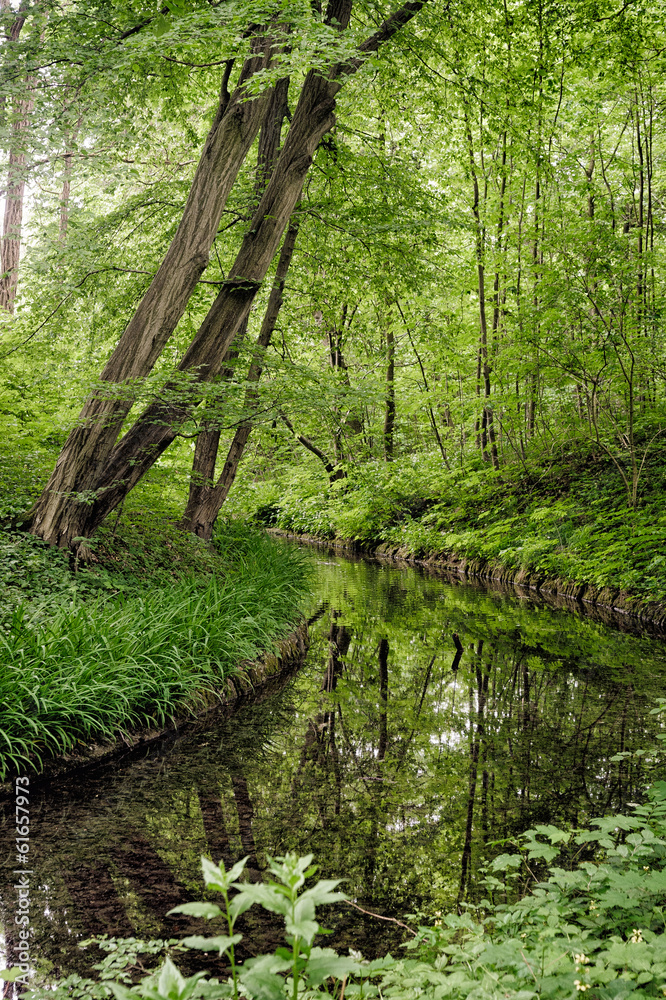 Beautiful summer Landscape with Creek Beautiful summer Landscape with Creek