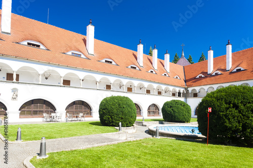 Topolcianky Palace, Slovakia photo