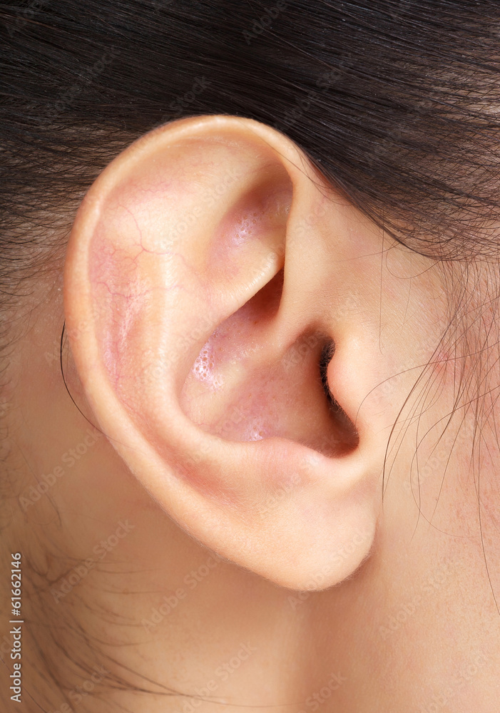 Naklejka premium Female ear