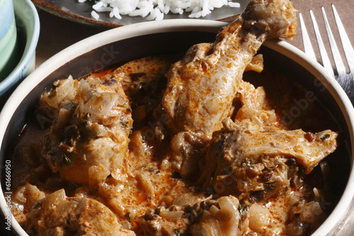 Handi Murg – Marinated chicken in fresh green spices photo