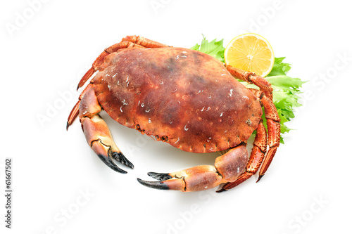 red boiled crab