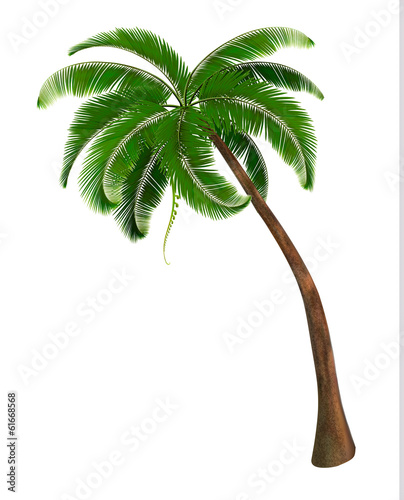 Background with a palm tree. Vector illustration