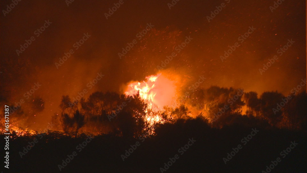 Forest fire at night