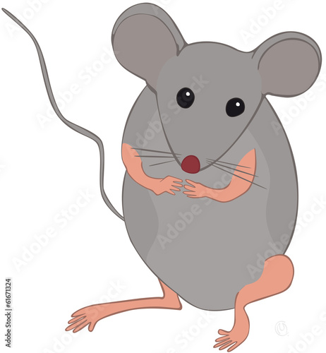 petite souris grise mains jointes
