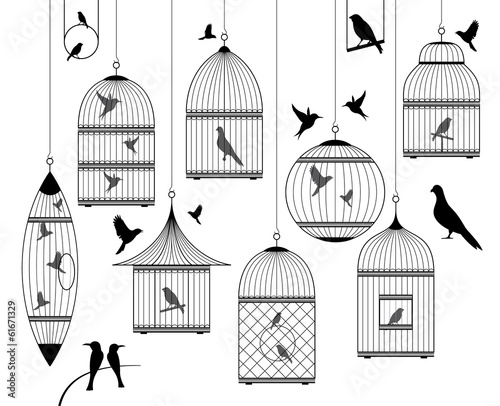Tablou canvas birds and birdcages collection