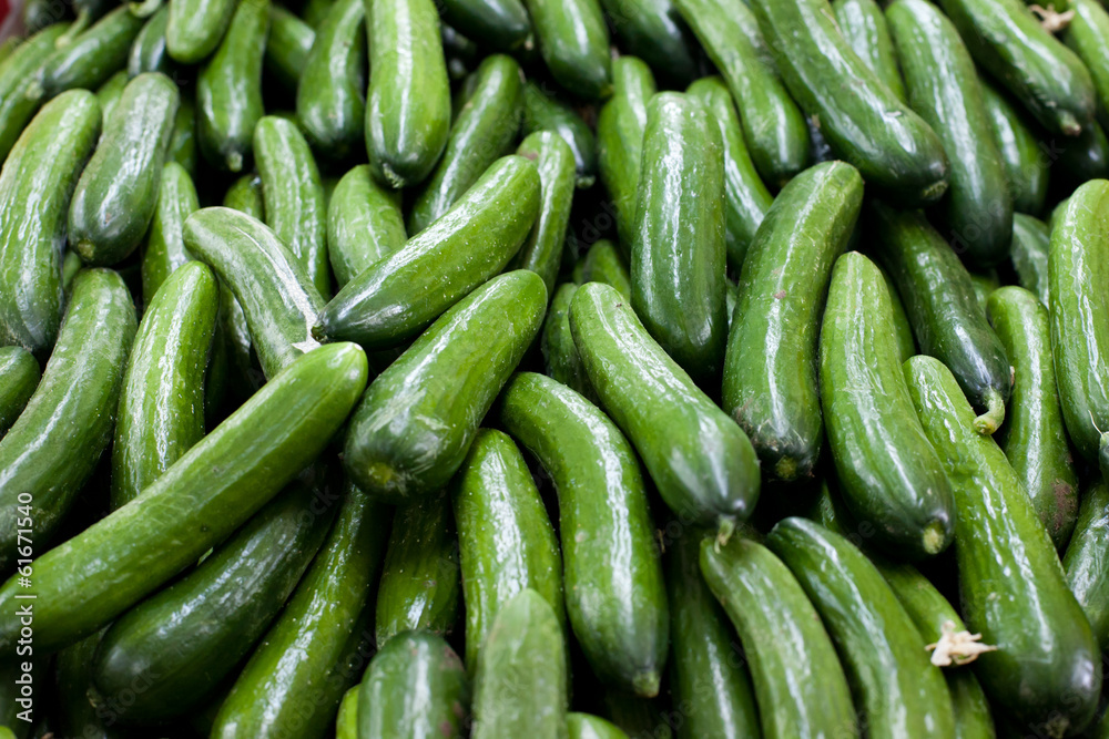 Fresh Cucumbers background