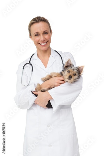 Happy vet holding yorkshire terrier puppy smiling at camera