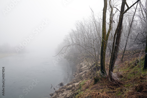 River bank shrouded in fog