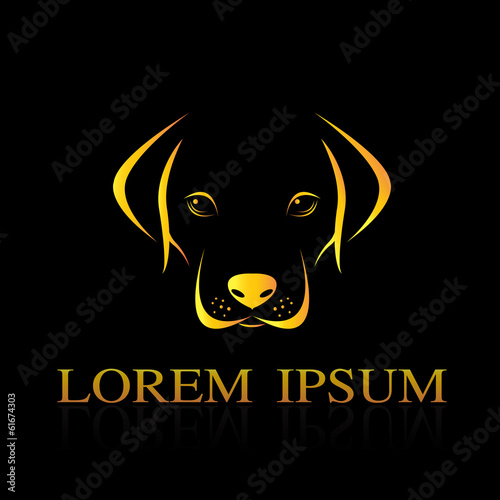 Vector image of an dog labrador